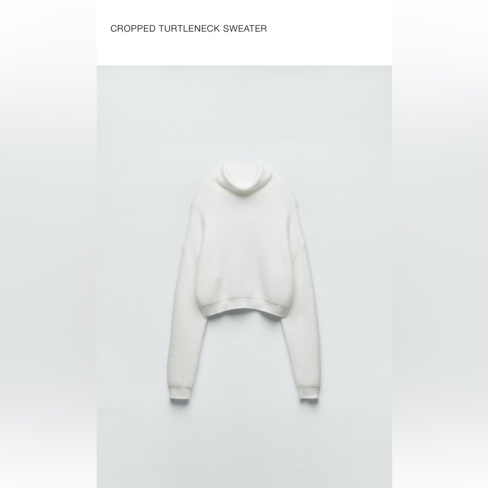Zara cropped turtle neck sweater 
Great condition, work once